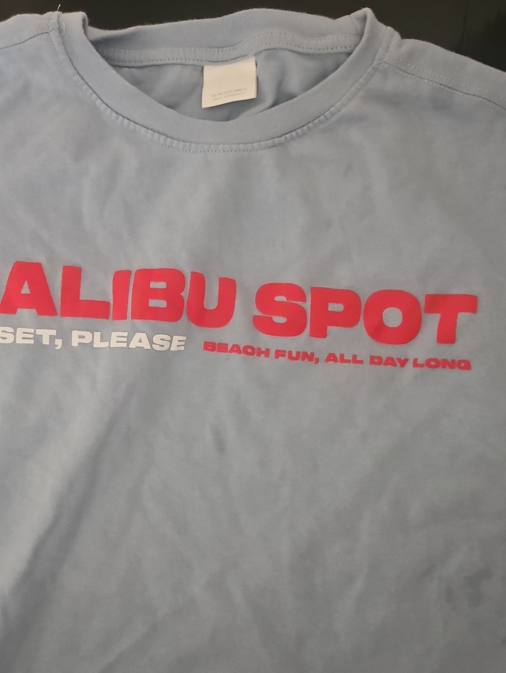 Zara Light Blue Tee with Red & White Malibu Print